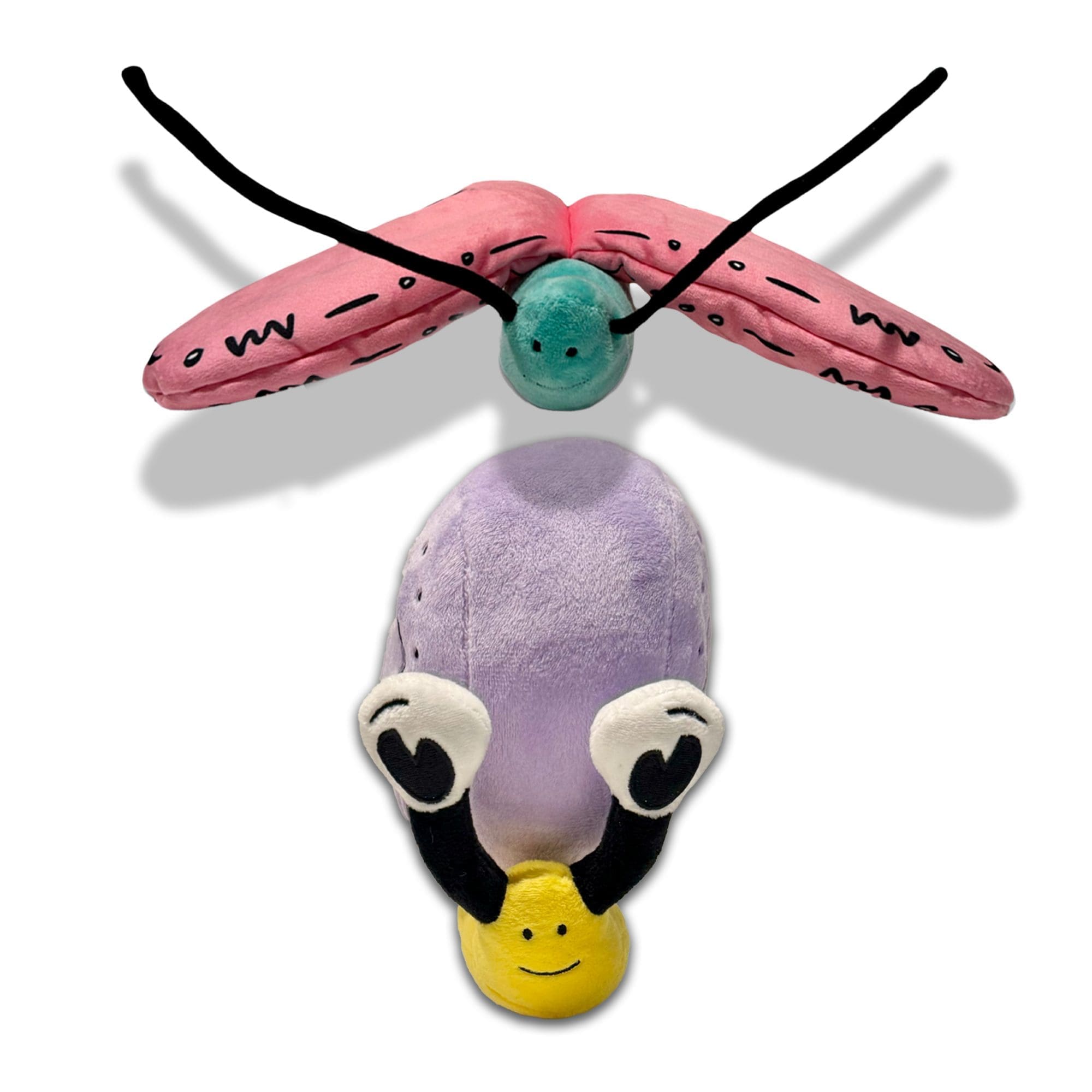 Snail and Butterfly Fly to Meet Pete the Cat